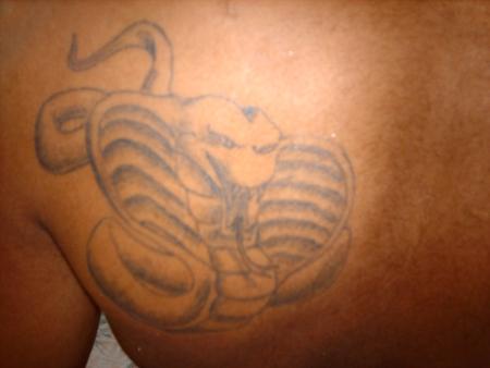 cobra